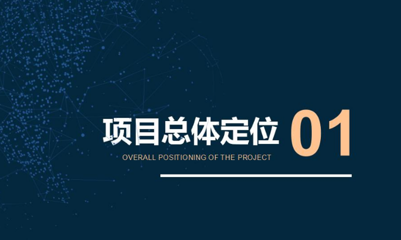项目定位